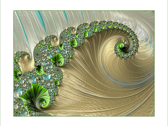 2016 PhotoPro Expo Print Competition  Merit Image (Blue Ribbon)