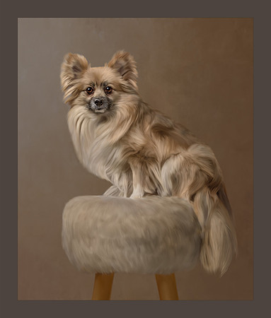 Painted_Pet_Portrait_Constance_Sanders_Photography