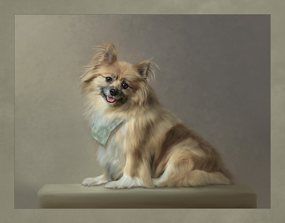 Painted_Pet_Portrait_Constance_Sanders_Photography