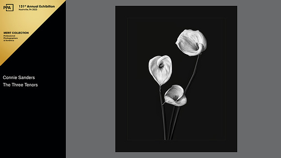 2022 International Photographic Open Competition, Merit, General Collection