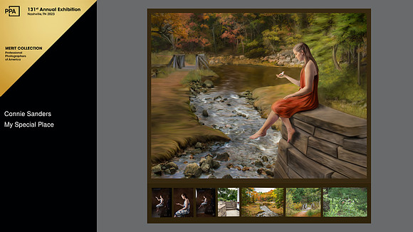 2022 International Photographic Artist Competition, Merit, General Collection