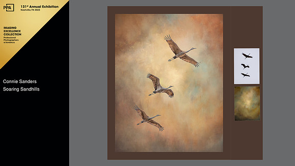 2022 International Photographic Artist Competition, Imaging Excellence Collection;SE District Top 10