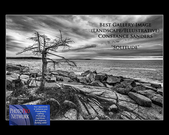 2015 PhotoPro Expo Print Competition, Best Gallery Image