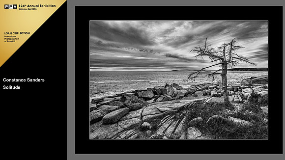 2015 IPC Open Photographic Competition, Loan Collection