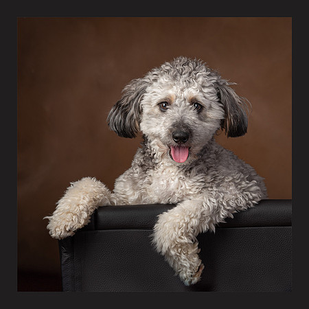 How About a Treat, Mom?, Merit Image, AIM, 3-2023
