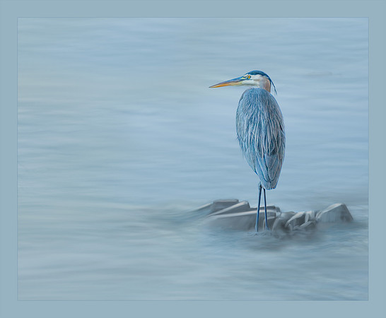 Contemplation, Merit Image, ASP/IOD, 2-2023