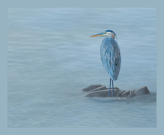 Contemplation, Merit Image, AIM, 3-2023