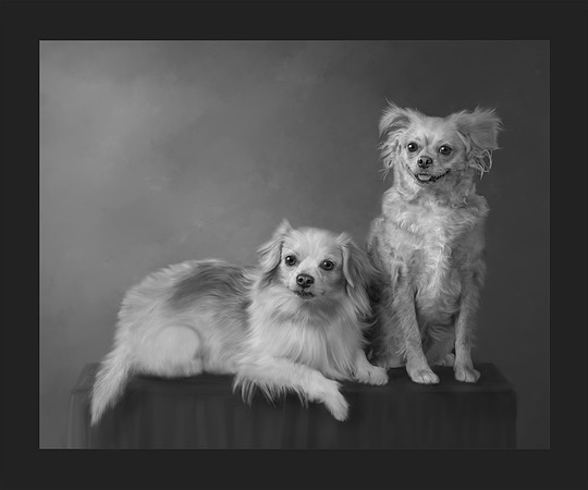 Our First Portrait, Merit Image, ASP/IOD, 2-2023