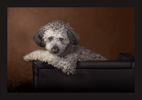 "Just Hangin' Out," Merit Image, ASP/IOD, 2-2023