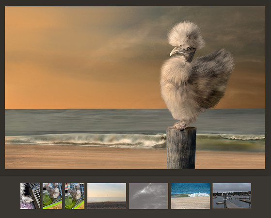 Chicken of the Sea, Merit Image, ASP/IOD, 2-2023