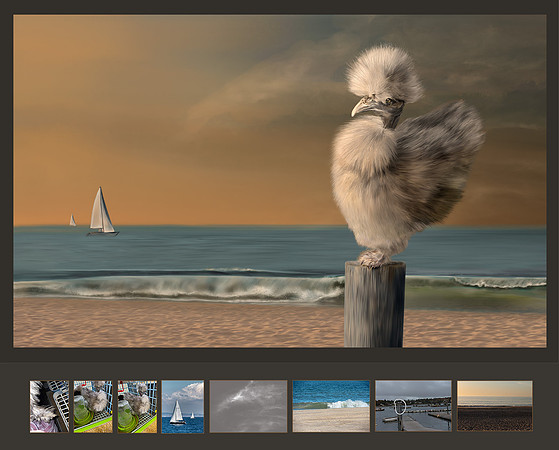 "Chicken of the Sea." Merit Image, PPA Merit Image Review, March 2023