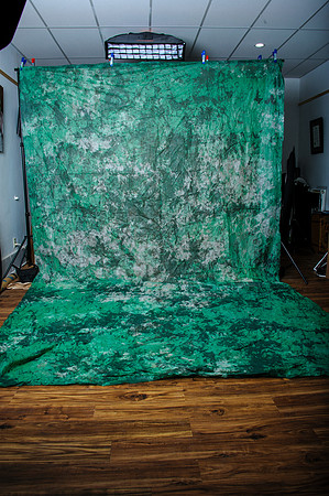 Green/white/black 10x16 Fantasy Cloth from Backdrop outlet (woven paper) $10