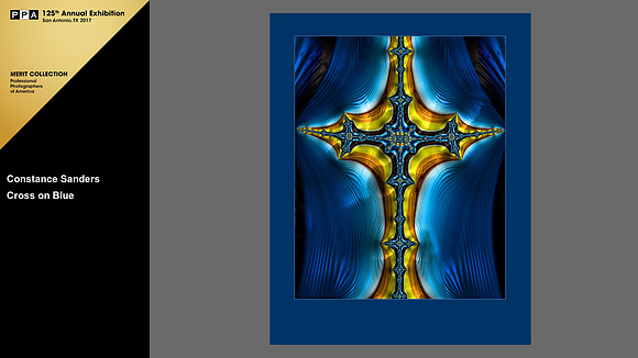 2016 IPC Open Photographic Competition, Merit Image