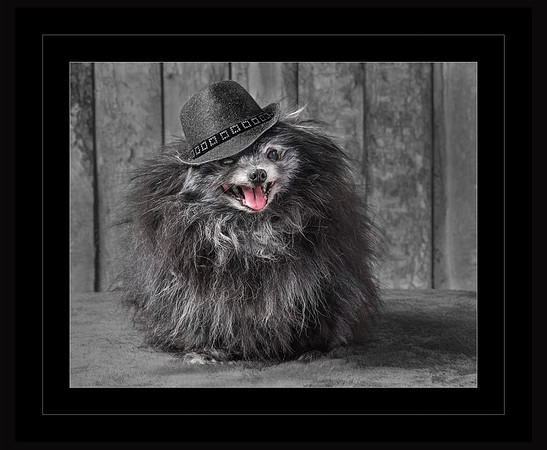 It's All About the Hat, Baby!  2018 PhotoPro Expo Print Competition, Second Place Ribbon