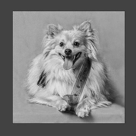 2018 PhotoPro Expo Print Competition, Honorable Mention