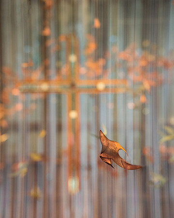 2018 PhotoPro Expo Print Competition, Second Place Ribbon