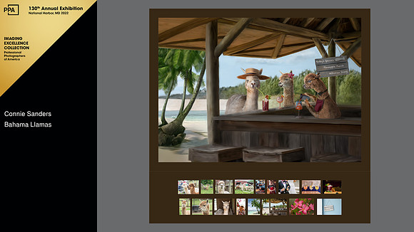 2021 IPC Artist Competition, Imaging Excellence Collection