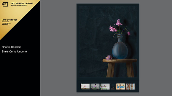 2021 International Photographic Artist Competition, Merit, General Collection