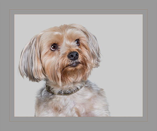 2019 PhotoPro Expo Print Competition, Merit, Excellent Category