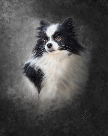 Painted_Pet_Portrait_Constance_Sanders_Photography