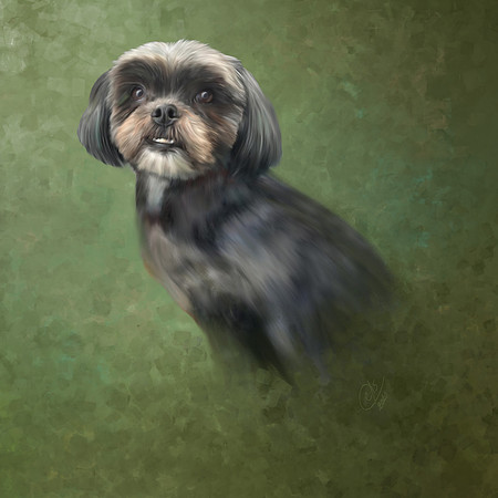 Painted_Pet_Portrait_Constance_Sanders_Photography