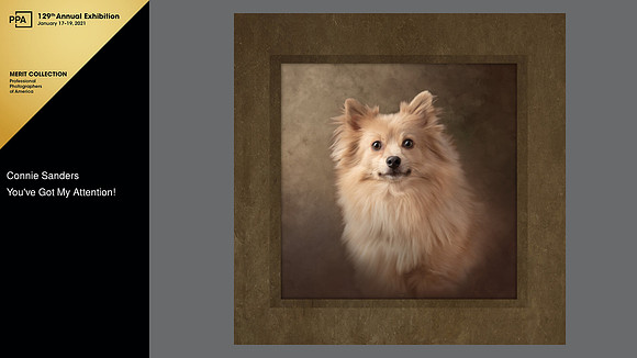 2020 International Photographic Competition, Merit