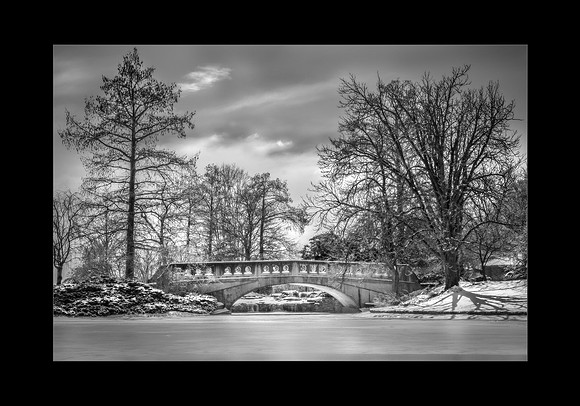 2016 PhotoPro Expo Print Competition, Honorable Mention (Green Ribbon)