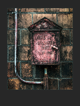 2016 PhotoPro Expo Print Competition , Honorable Mention (Green Ribbon)